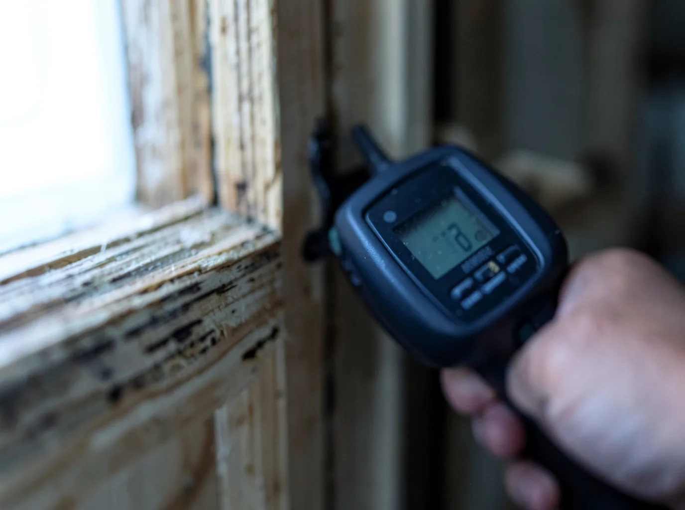 Ceiling Water Damage Repair in Thrall, TX